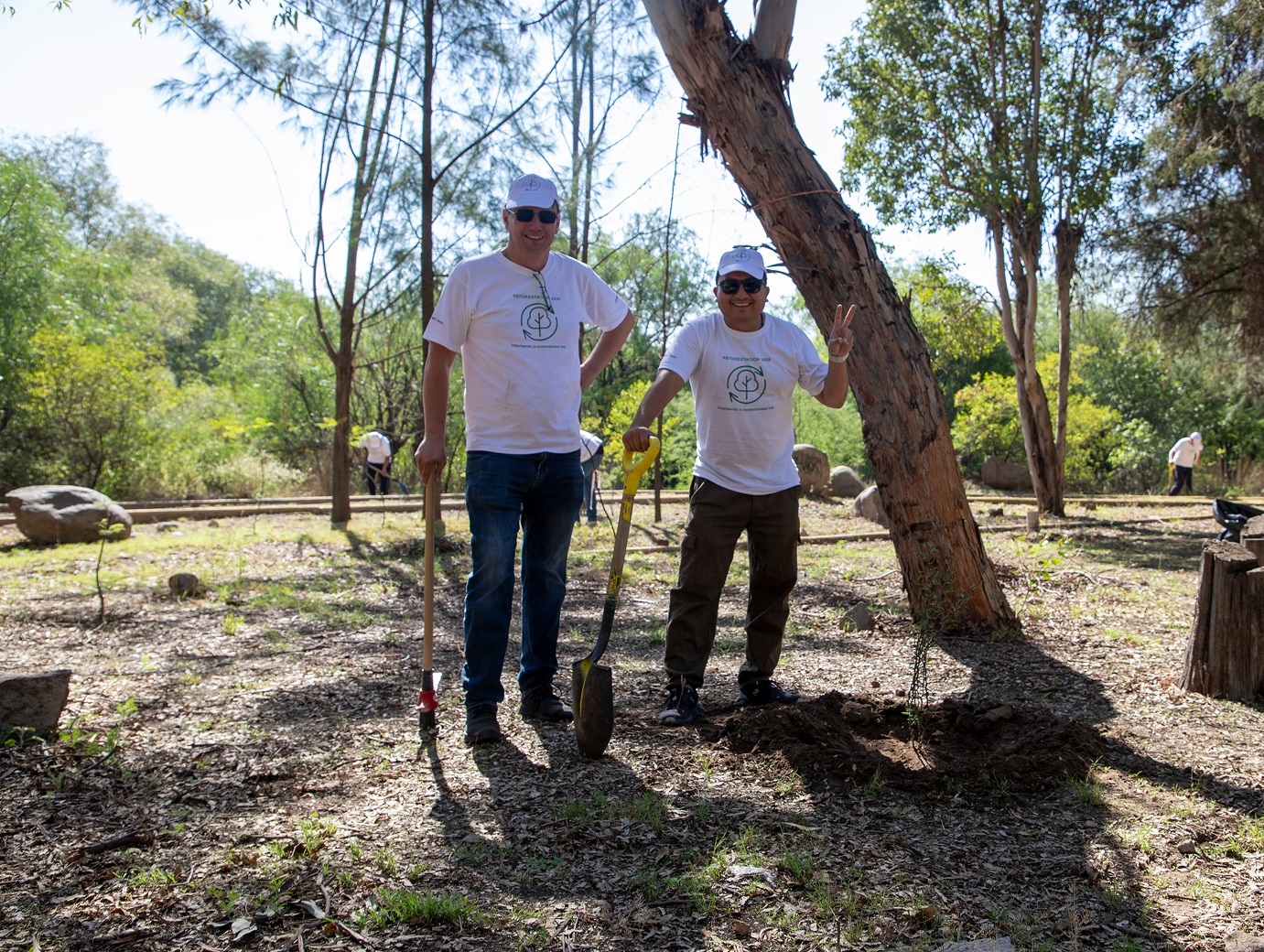 Employees taking part in an outdoor volunteering activity in a park.